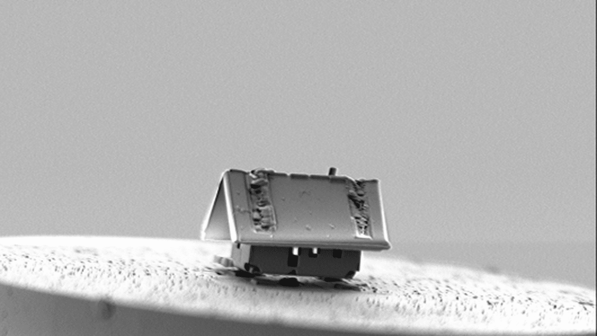 micro-maison